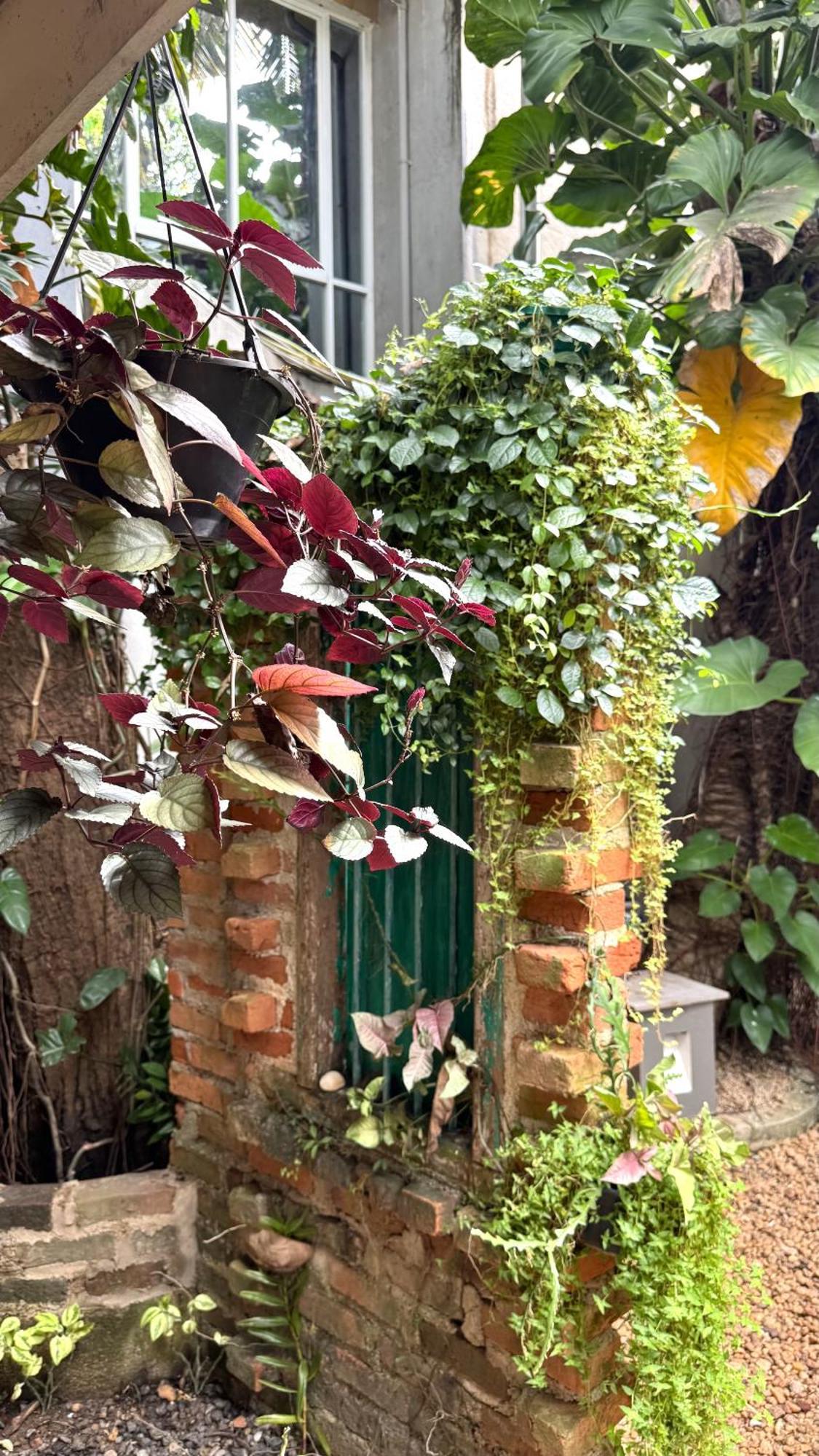 Gomez Place Guest house